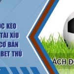 Cách Đọc Kèo Bóng Đá Tài Xỉu BONG88 Cơ Bản Dành Cho Bet Thủ