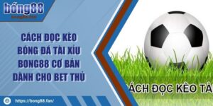 Cách Đọc Kèo Bóng Đá Tài Xỉu BONG88 Cơ Bản Dành Cho Bet Thủ