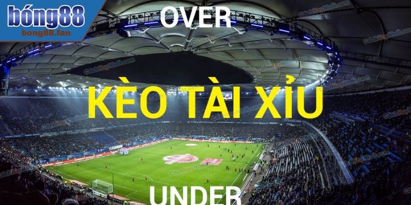 Đọc kèo Over/Under 0.5 chơi cực đơn giản