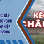 Cách Đọc Kèo Châu Âu BONG88 Chuyên Nghiệp Cần Nắm Vững